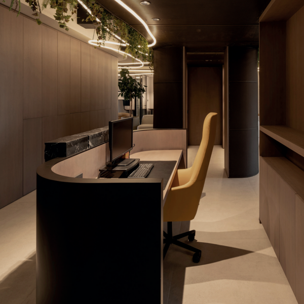 Alya Executive SO1496