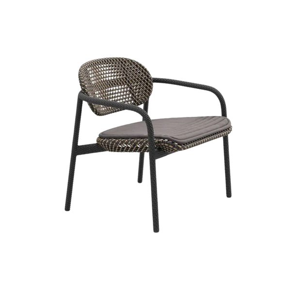 Roii Lounge Chair