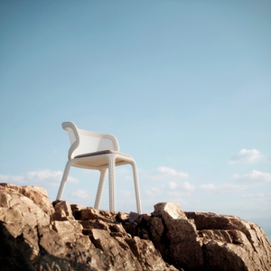 Seashell Chair