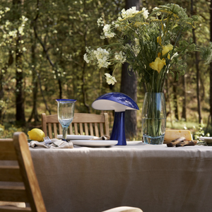 Rumee 220 Portable Lamp