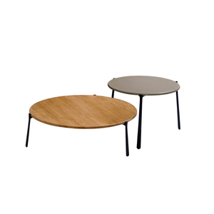 Branch Low Table