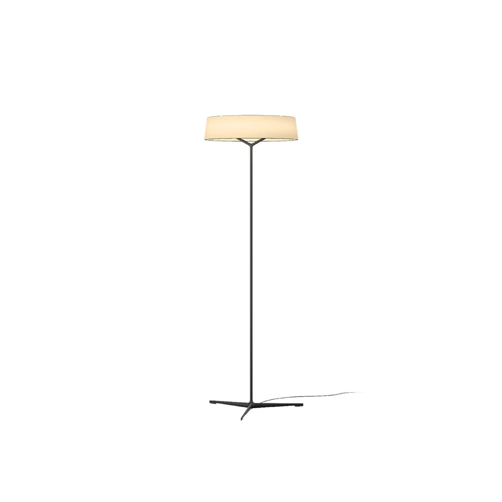 Dama