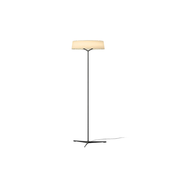 Dama