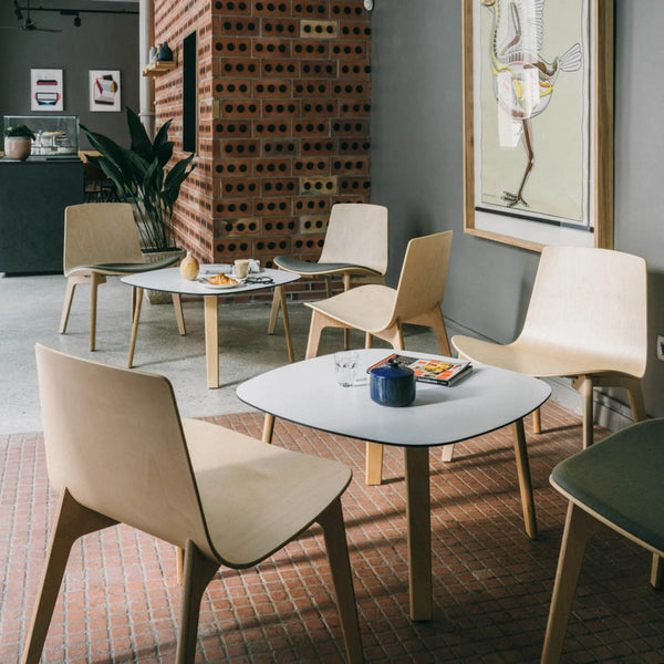 Lottus Lounge