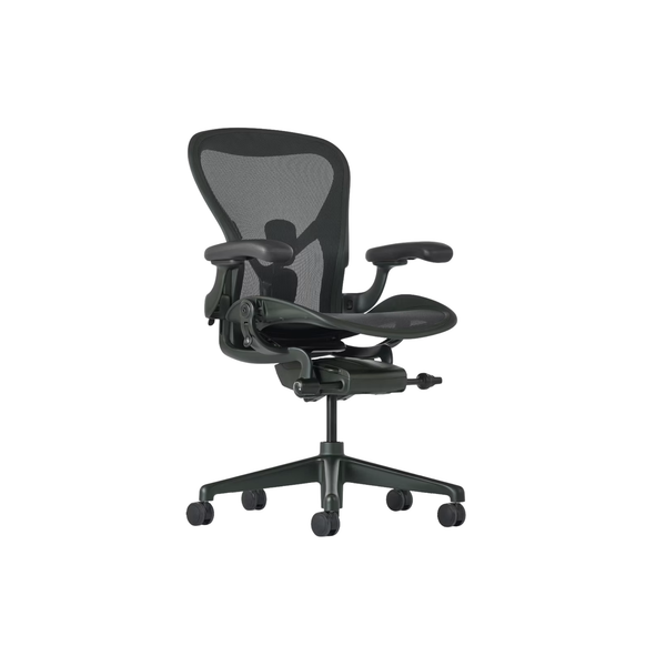 Aeron Chair