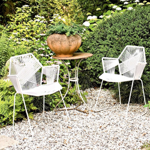 Tropicalia Dining Chair