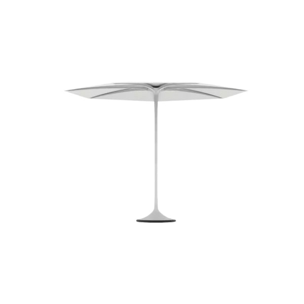 Palma Parasol