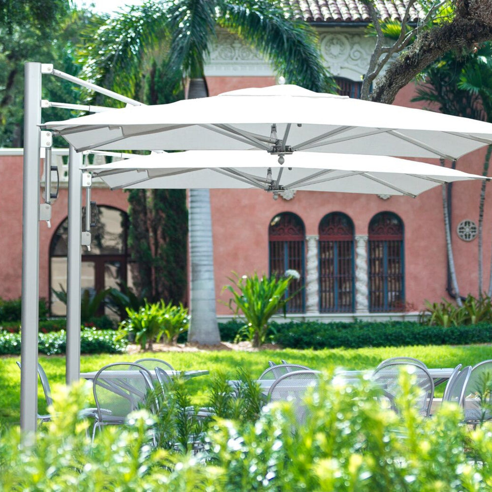 Bay Master M1 Classic Cantilever